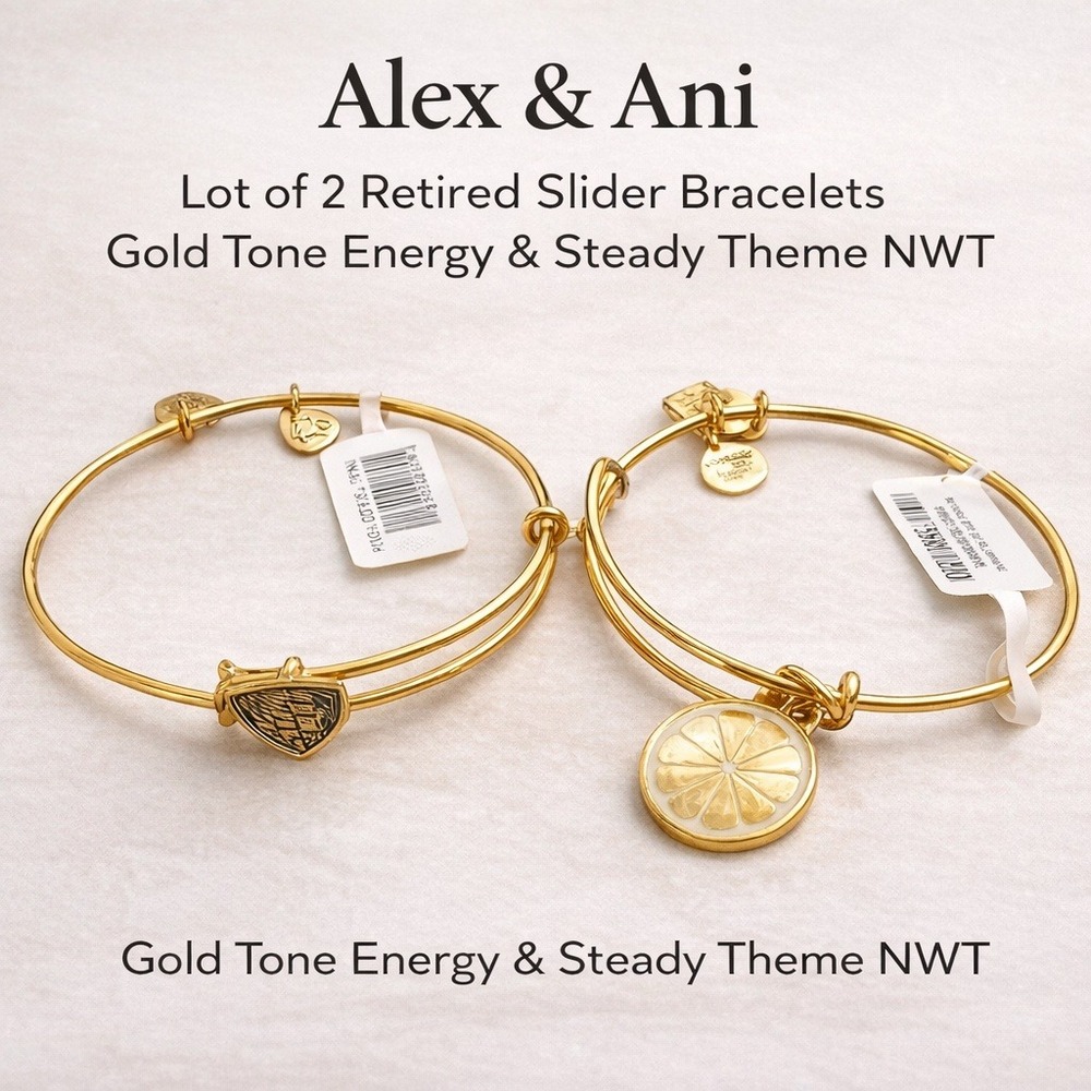 Alex and Ani Lot of 2 Retired Slider Bracelets Gold Tone Energy Steady Theme NWT